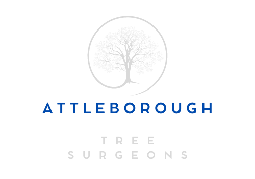 Attleborough Tree Surgeons